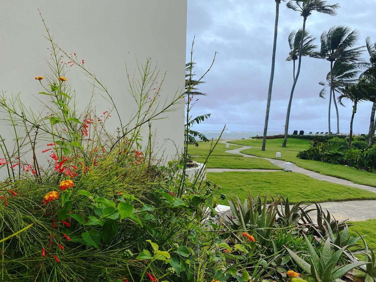 Cabarete Beachfront Condos At Nanny Estate C-5 Exterior foto